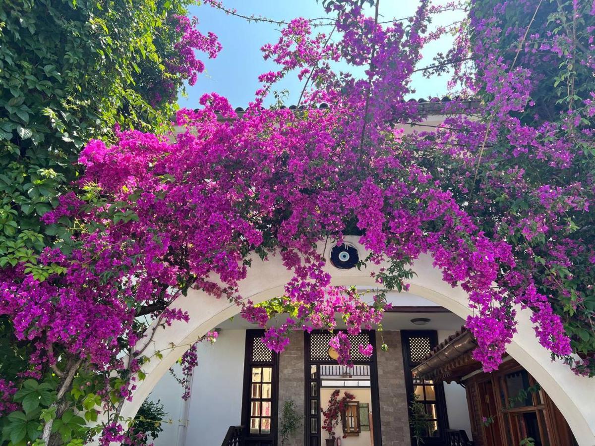 Palma Rosa Hotel Camyuva Exterior photo