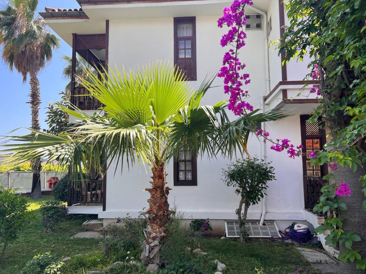 Palma Rosa Hotel Camyuva Exterior photo